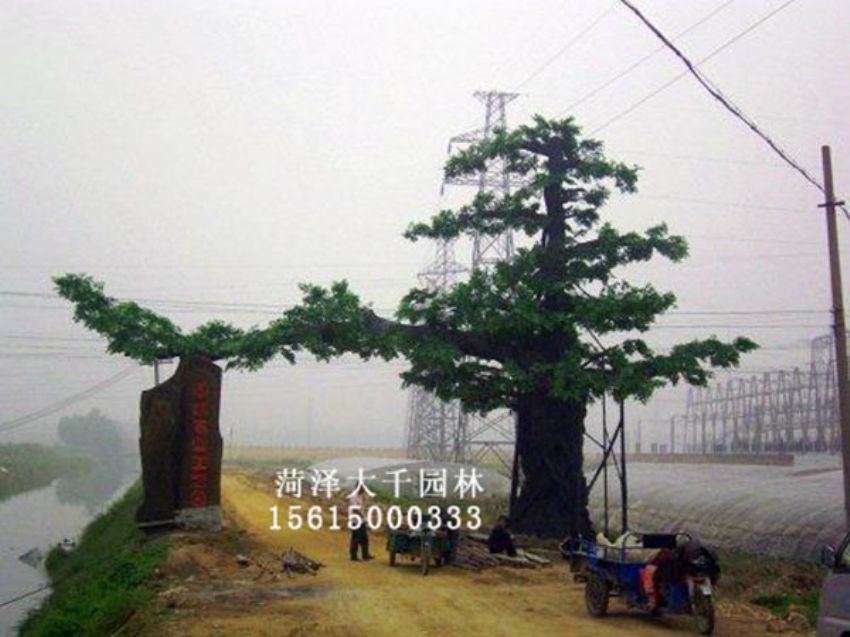 點(diǎn)擊查看詳細(xì)信息<br>標(biāo)題：假樹 閱讀次數(shù)：1359