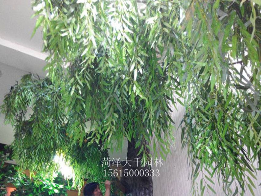 點(diǎn)擊查看詳細(xì)信息<br>標(biāo)題：假樹 閱讀次數(shù)：1374