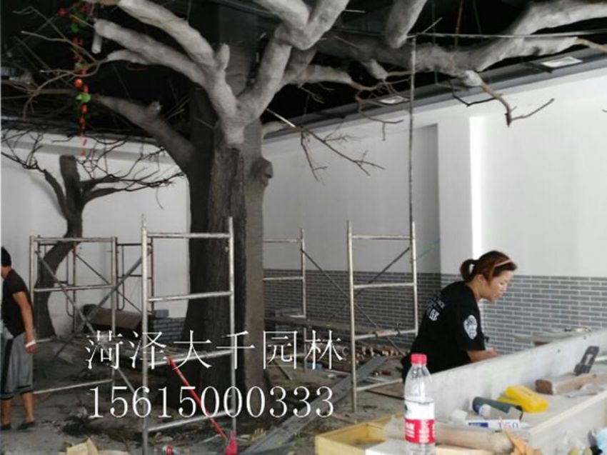 點(diǎn)擊查看詳細(xì)信息<br>標(biāo)題：假樹 閱讀次數(shù)：1378
