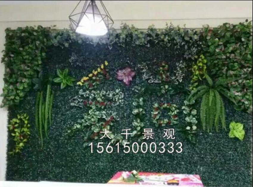 點(diǎn)擊查看詳細(xì)信息<br>標(biāo)題：綠植墻 閱讀次數(shù)：1541